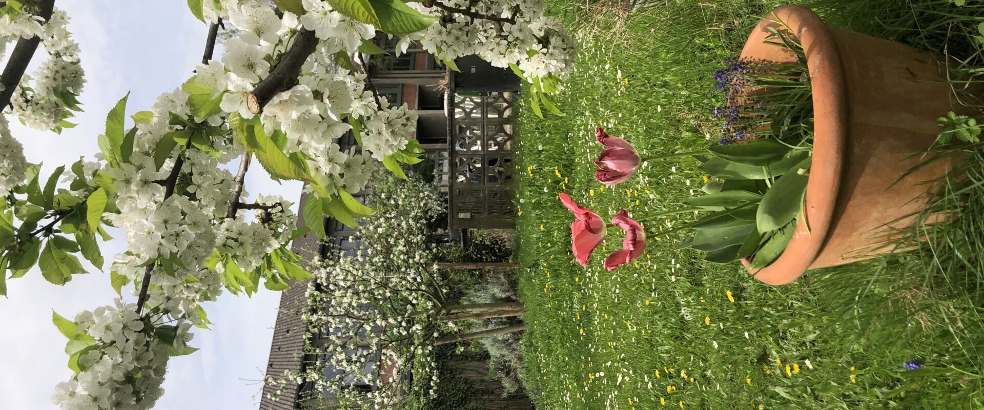 Aktionstag: Den Garten aus dem Winterschlaf holen!
